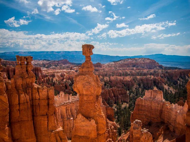 sudoku account login screenshot 4