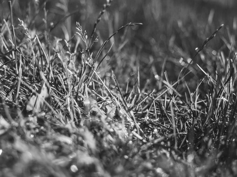 feedback screenshot 1